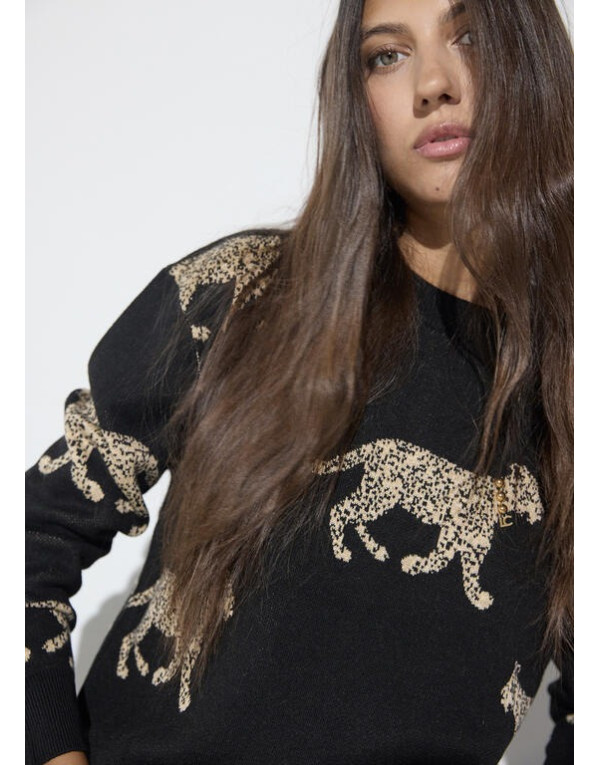 Pull jacquard léopards noir Lola Casademunt femme